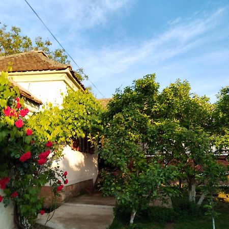Apartamento Bistricki Mir 1 Petrovac na Mlavi Exterior foto