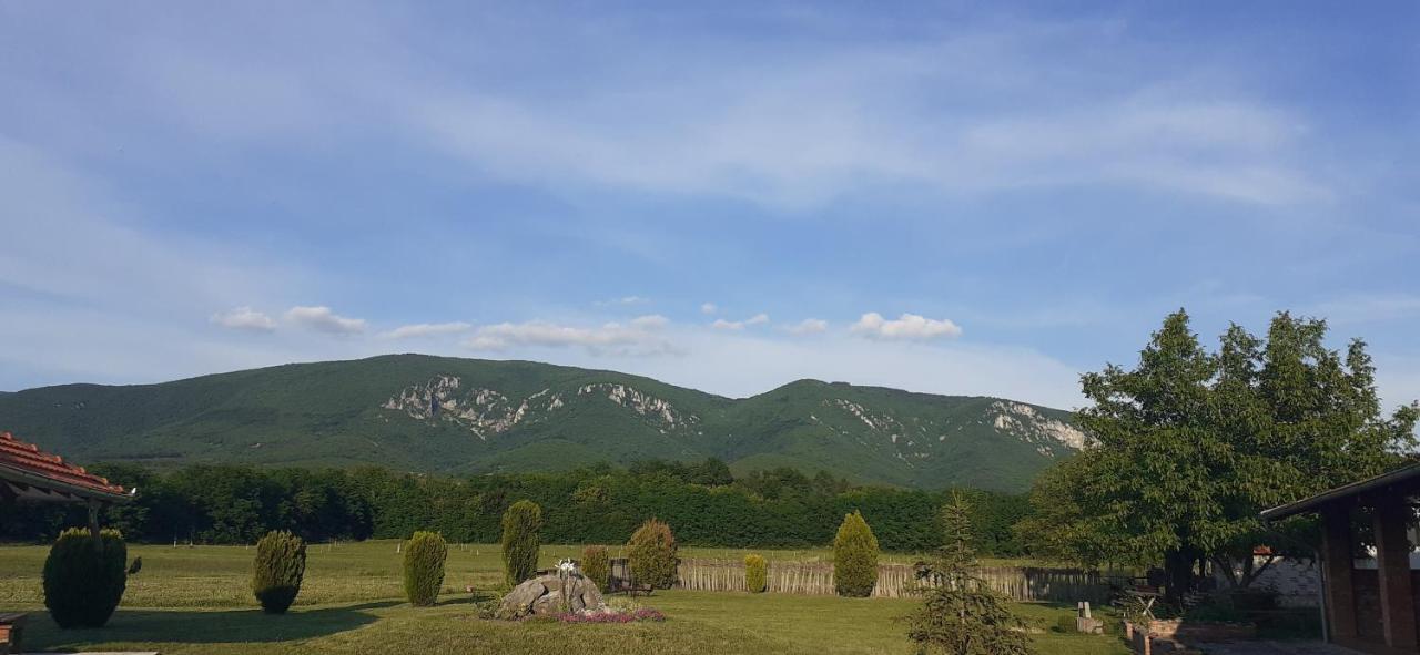 Apartamento Bistricki Mir 1 Petrovac na Mlavi Exterior foto